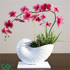Orchid